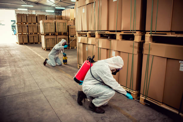 Best Local Pest Control Services  in Lanark, IL