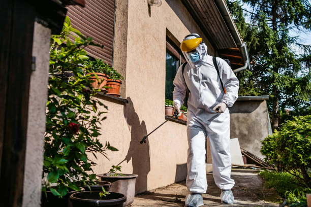 Best Wasp Removal Services  in Lanark, IL