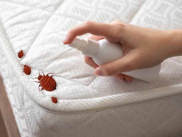 Best Best Pest Control Companies  in Lanark, IL