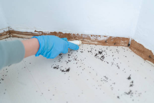 Best Commercial Pest Control Services  in Lanark, IL